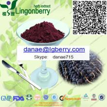 Acai Berry Extract powder
