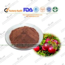 Cranberry anthocyanin, OPC