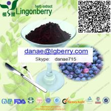 Blueberry Extract, anthocyanin 5-25% by UV