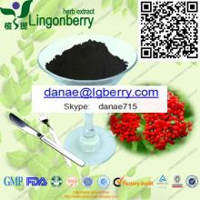 Elderberry Extract, anthocyanin GMP Factory