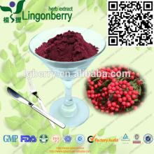 Chokeberry Extract, anthocyanin GMP factory