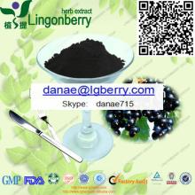  Black   currant   extract  , anthocyanin GMP factory
