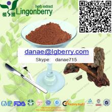 Pine Bark Extract, Proanthocyanidins GMP Facotry