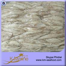 7.5kg Packed Bonito Loin For Canned Fish