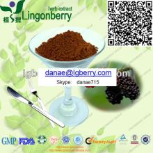 Mulberry Juice Powder, GMP factory