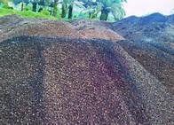  Palm   Kernel   Shell 