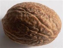 Nutmeg
