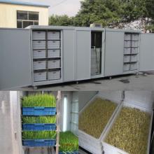 Grain Processing  Mung   Bean  Sprout Growing  Machine 