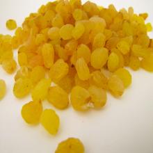 Golden Raisin from Iran, Top Grade