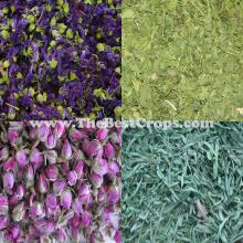 The best Herbal Tea and Dried Vegetables