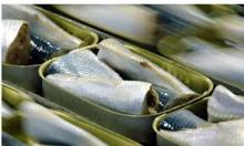 Sardine Canned Fish