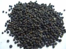 BLACK PEPPER FOR SALE