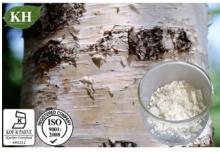 Betulin Extract