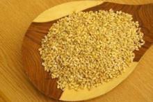  Plant  protein meal replacement  powder 