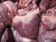 Halal Frozen Pork Heart