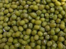 Good Quality Green Mung Beans