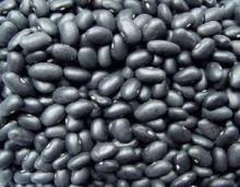Black Kidney Beans