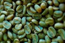  Arabica  Coffee