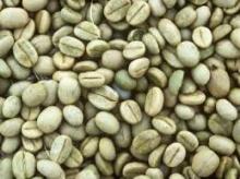Quality Robusta Coffee