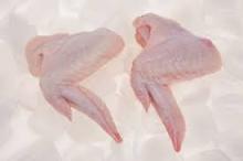 Fresh Chicken Wings