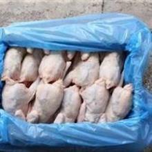Fresh Frozen Whole Chicken