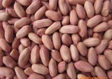 peanut kernels luhua