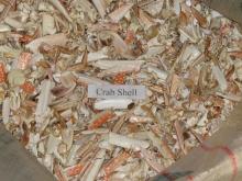  Crab   shell ,Shimp  shell  with low price