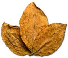 2014 New Raw  Tobacco   Leaf  Competitive Price