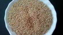 Natural Sesame Seeds - Ethiopian