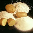 fast delivery of potato starch powder, native manufacturer and good price
