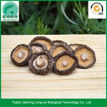 Shiitake Mushrooms Dried Oak Mushroom