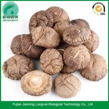 Whole Dried Shiitake Mushroom 1kg