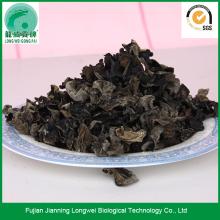 Whole Dried Black Ear Fungus Mushroom