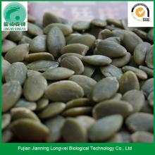 Dried Shine Skin wholesale pumpkin seeds pepitas price