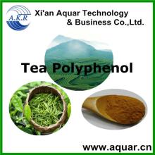 GMP factory selling  Green   Tea   Extract - polyphenols 