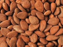 Apricot Kernels