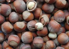 Hazelnuts