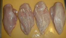 Frozen Boneless Halal Chicken Breast