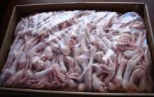 Quality Processed Frozen Chicken Feet
