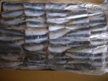 HGT sardine