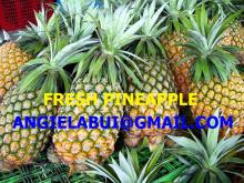 FRESH PINAPPLE, FROZEN PINEAPPLE