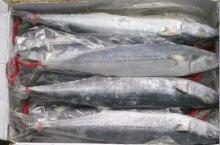  king   fish  whole