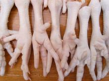 US Standard Export Grade A Frozen Chicken Feet