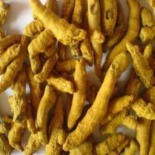  tumeric   finger 