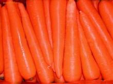 2015 dehydrated carrot dry carot AD carrot red carrot