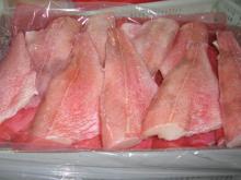  Atlantic   redfish  fillet