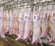 Halal 6 Cuts Lamb Meat, Mutton Meat, Goat Meat and Boer Goat Meat for Sale