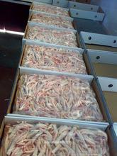 Frozen and Fresh Duck Meat and Feet for Export Worldwide and Local Sales