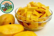 Frozen Fruits - Frozen Mango chunk from Vietnam Fresh Fruits Corporation in Vietnam for sales with c