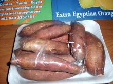 Sweet Potato